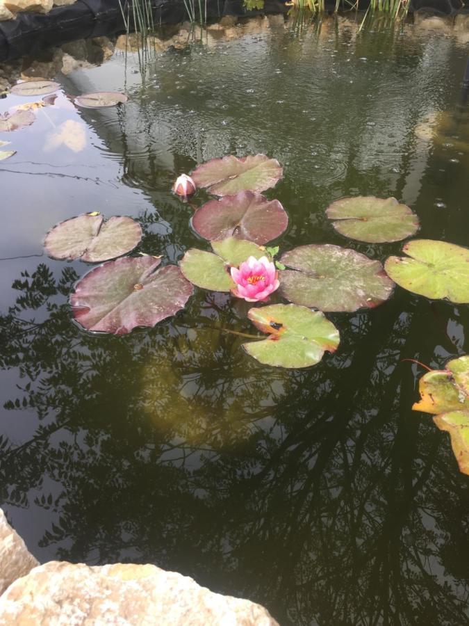 Lelle-Kert Apartman 01 Balatonlelle Dış mekan fotoğraf