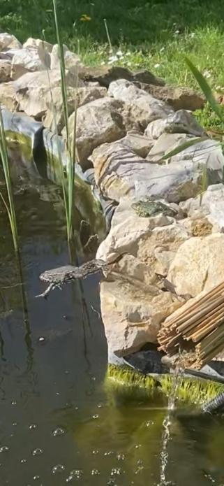 Lelle-Kert Apartman 01 Balatonlelle Dış mekan fotoğraf