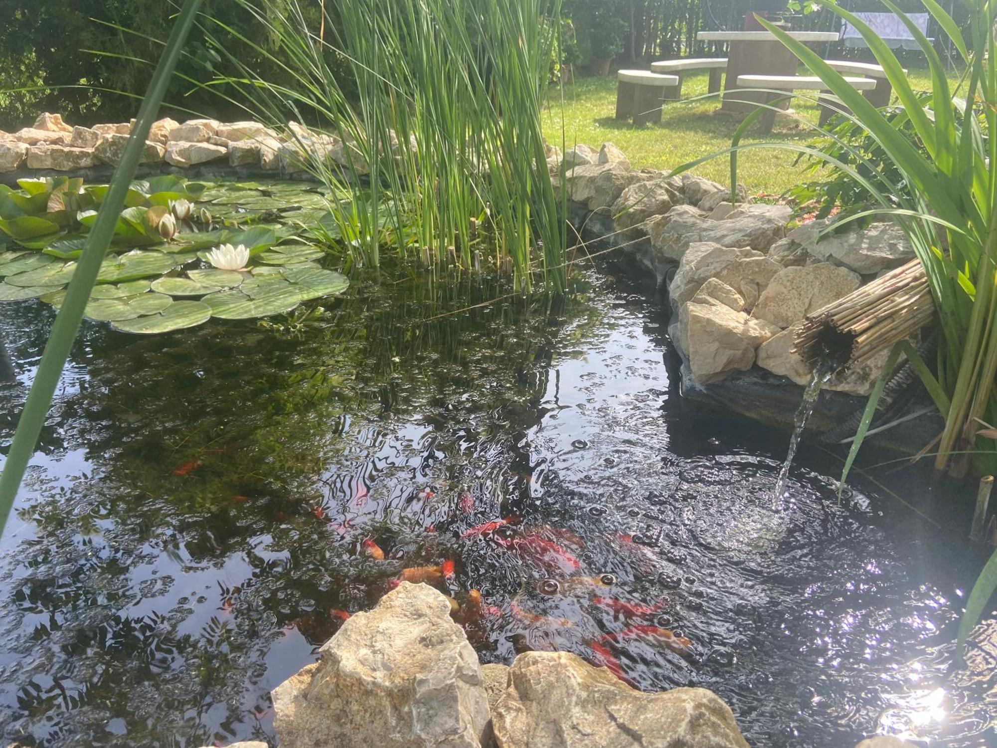 Lelle-Kert Apartman 01 Balatonlelle Dış mekan fotoğraf