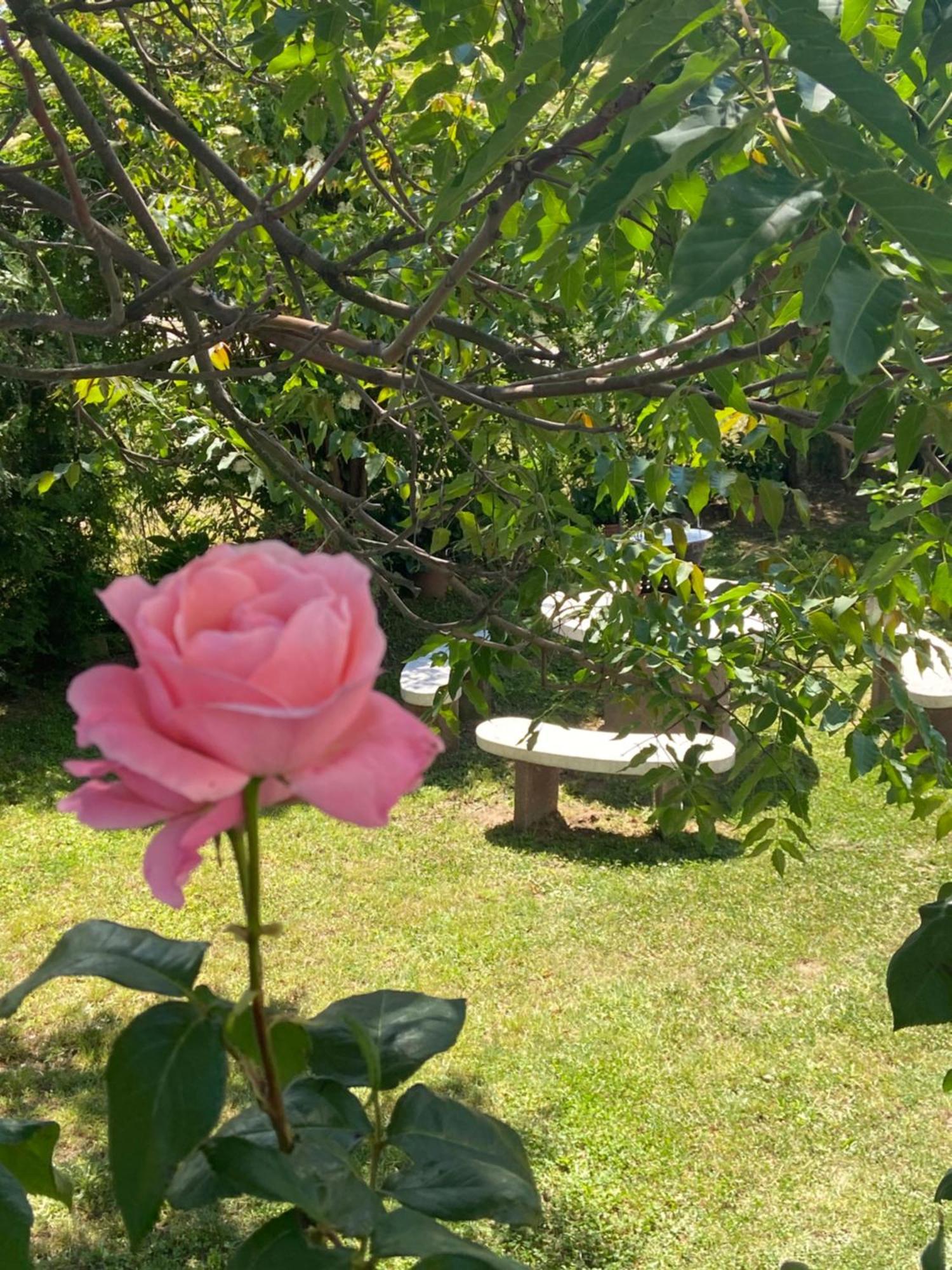 Lelle-Kert Apartman 01 Balatonlelle Dış mekan fotoğraf